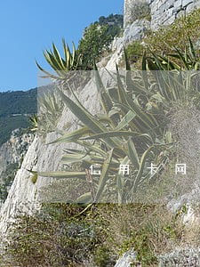 信用卡网贷逾期处理方案 信用卡网贷逾期处理方案