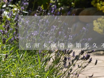 信用卡网贷逾期多久不能坐高铁
