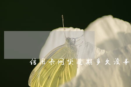 信用卡网贷逾期多久没事