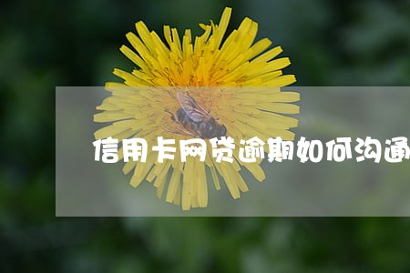 信用卡网贷逾期如何沟通