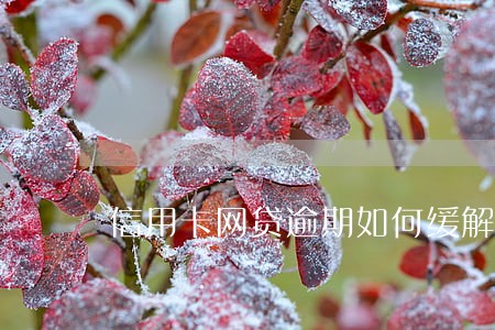 信用卡网贷逾期如何缓解压力 信用卡网贷逾期如何缓解压力