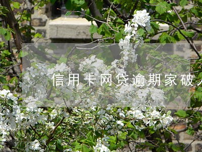 信用卡网贷逾期家破人亡 信用卡网贷逾期家破人亡