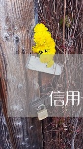 信用卡网贷逾期影响房车吗 信用卡网贷逾期影响房车吗