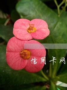 信用卡网贷逾期快半年了 信用卡网贷逾期快半年了