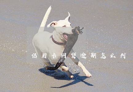 信用卡网贷逾期怎么判 信用卡网贷逾期怎么判
