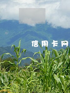 信用卡网贷逾期怎么打电话 信用卡网贷逾期怎么打电话