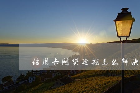 信用卡网贷逾期怎么解决 信用卡网贷逾期怎么解决