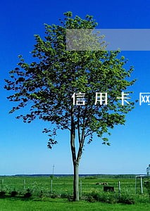 信用卡网贷逾期怎么说话