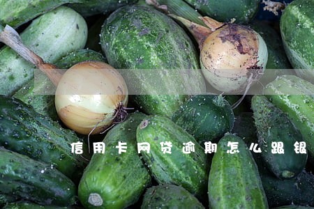 信用卡网贷逾期怎么跟银行谈判 信用卡网贷逾期怎么跟银行谈判