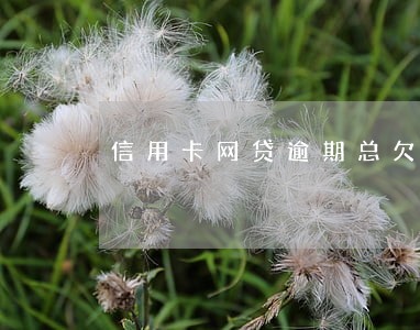 信用卡网贷逾期总欠款26万 信用卡网贷逾期总欠款26万