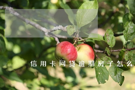 信用卡网贷逾期房子怎么办 信用卡网贷逾期房子怎么办