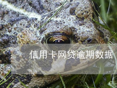 信用卡网贷逾期数据 信用卡网贷逾期数据