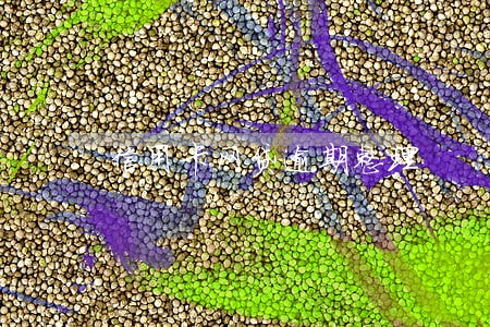 信用卡网贷逾期整理 信用卡网贷逾期整理