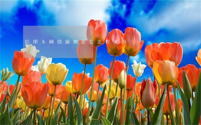 信用卡网贷逾期是怎么过来的 信用卡网贷逾期是怎么过来的