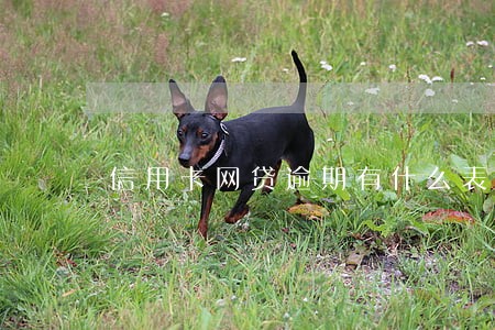 信用卡网贷逾期有什么表现