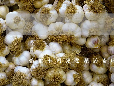 信用卡网贷逾期活着比什么都重要