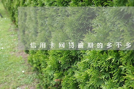 信用卡网贷逾期的多不多 信用卡网贷逾期的多不多
