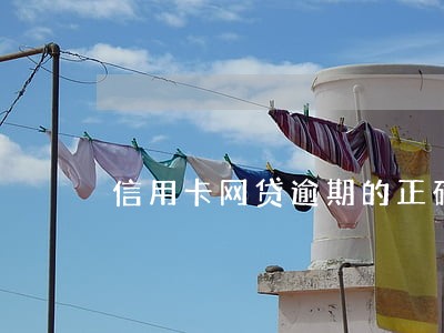 信用卡网贷逾期的正确方法 信用卡网贷逾期的正确方法