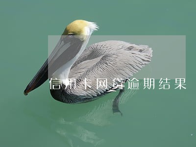 信用卡网贷逾期结果