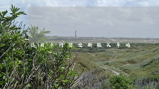 信用卡网贷逾期能买车吗