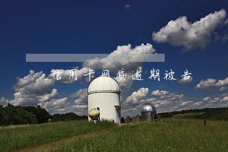 信用卡网贷逾期被告 信用卡网贷逾期被告