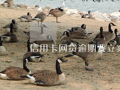 信用卡网贷逾期要立案怎么办 信用卡网贷逾期要立案怎么办