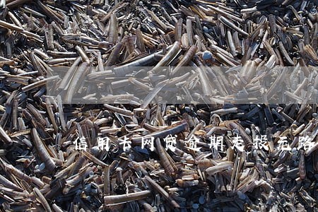 信用卡网贷逾期走投无路 信用卡网贷逾期走投无路
