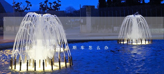 信用卡网贷逾期车怎么办 信用卡网贷逾期车怎么办