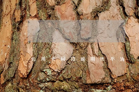 信用卡网贷逾期还不清