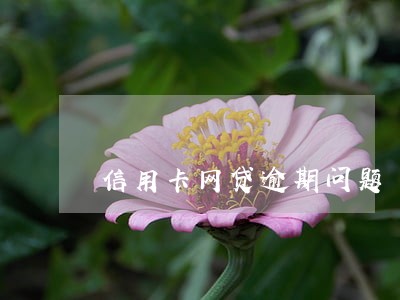信用卡网贷逾期问题