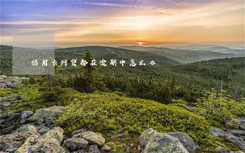 信用卡网贷都在逾期中怎么办 信用卡网贷都在逾期中怎么办
