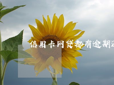 信用卡网贷都有逾期还能贷吗
