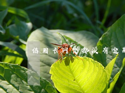 信用卡网贷都没有逾期 信用卡网贷都没有逾期