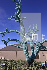 信用卡网贷都逾期了咋办 信用卡网贷都逾期了咋办