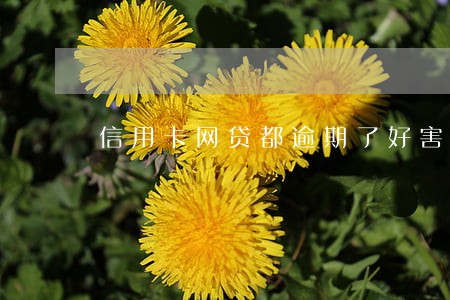 信用卡网贷都逾期了好害怕 信用卡网贷都逾期了好害怕