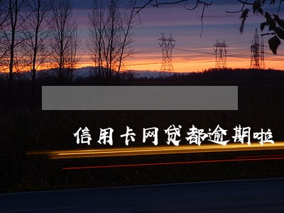信用卡网贷都逾期啦