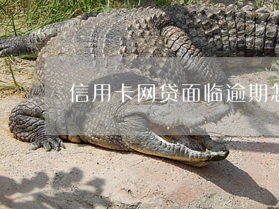 信用卡网贷面临逾期怎么协商 信用卡网贷面临逾期怎么协商