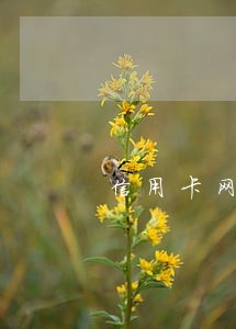 信用卡网贷马上逾期了怎么办 信用卡网贷马上逾期了怎么办