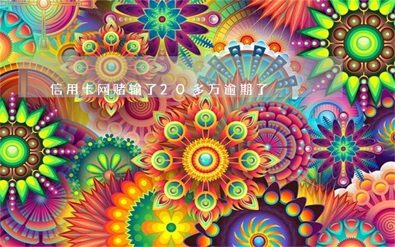 信用卡网赌输了20多万逾期了 信用卡网赌输了20多万逾期了