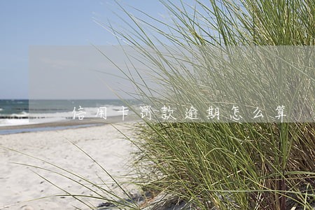 信用卡罚款逾期怎么算 信用卡罚款逾期怎么算