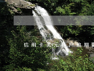 信用卡美元账户逾期影响贷款么