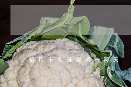 信用卡老是逾期一两天 信用卡老是逾期一两天