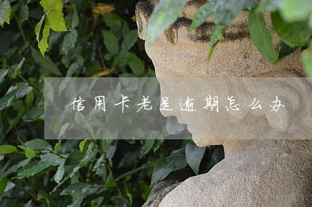 信用卡老是逾期怎么办 信用卡老是逾期怎么办