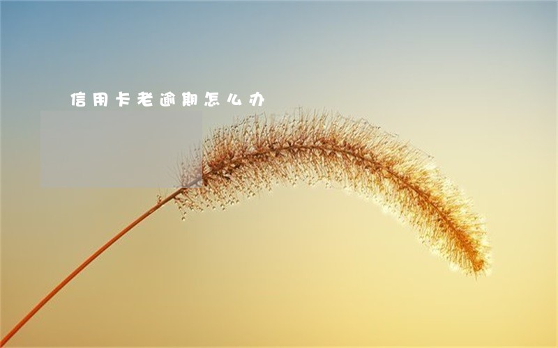 信用卡老逾期怎么办 信用卡老逾期怎么办
