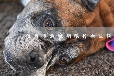 信用卡老逾期银行会注销吗 信用卡老逾期银行会注销吗