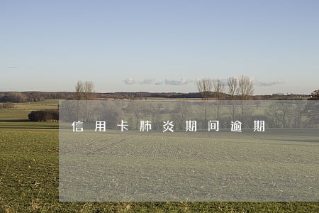 信用卡肺炎期间逾期 信用卡肺炎期间逾期