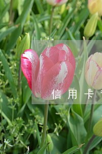 信用卡背后贷款逾期