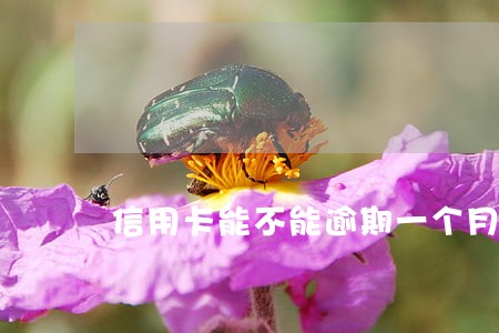 信用卡能不能逾期一个月 信用卡能不能逾期一个月