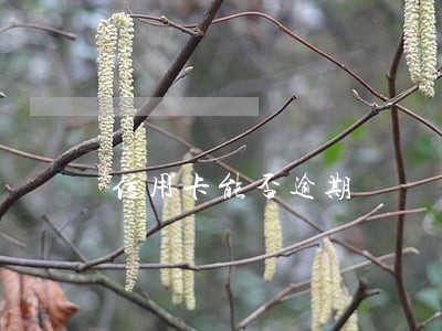 信用卡能否逾期 信用卡能否逾期
