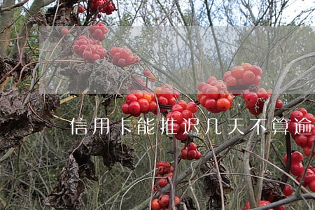 信用卡能推迟几天不算逾期 信用卡能推迟几天不算逾期